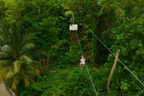 Barbados: Monkey Zip & Gully Challenge Adventure
