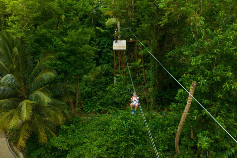 Barbados: Monkey Zip & Gully Challenge Adventure