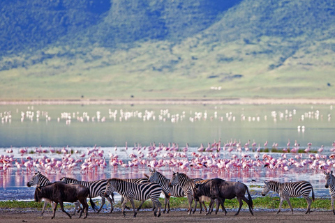 Safari de 2 días a Tarangire y el cráter del Ngorongoro