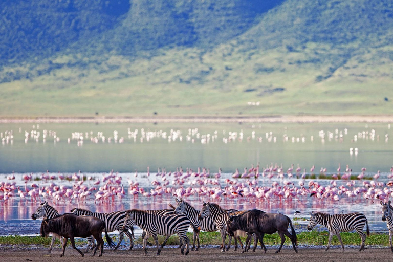 2 dagars safari i Tarangire och Ngorongorokratern