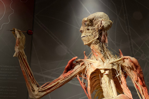 Las Vegas: REAL BODIES at Horseshoe Las Vegas Entry Ticket REAL BODIES Entry Ticket - Peak 7$ OFF