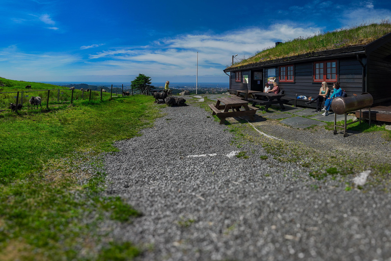 探索豪格松并拜访当地山区农民探索海于格松并拜访当地山区农民