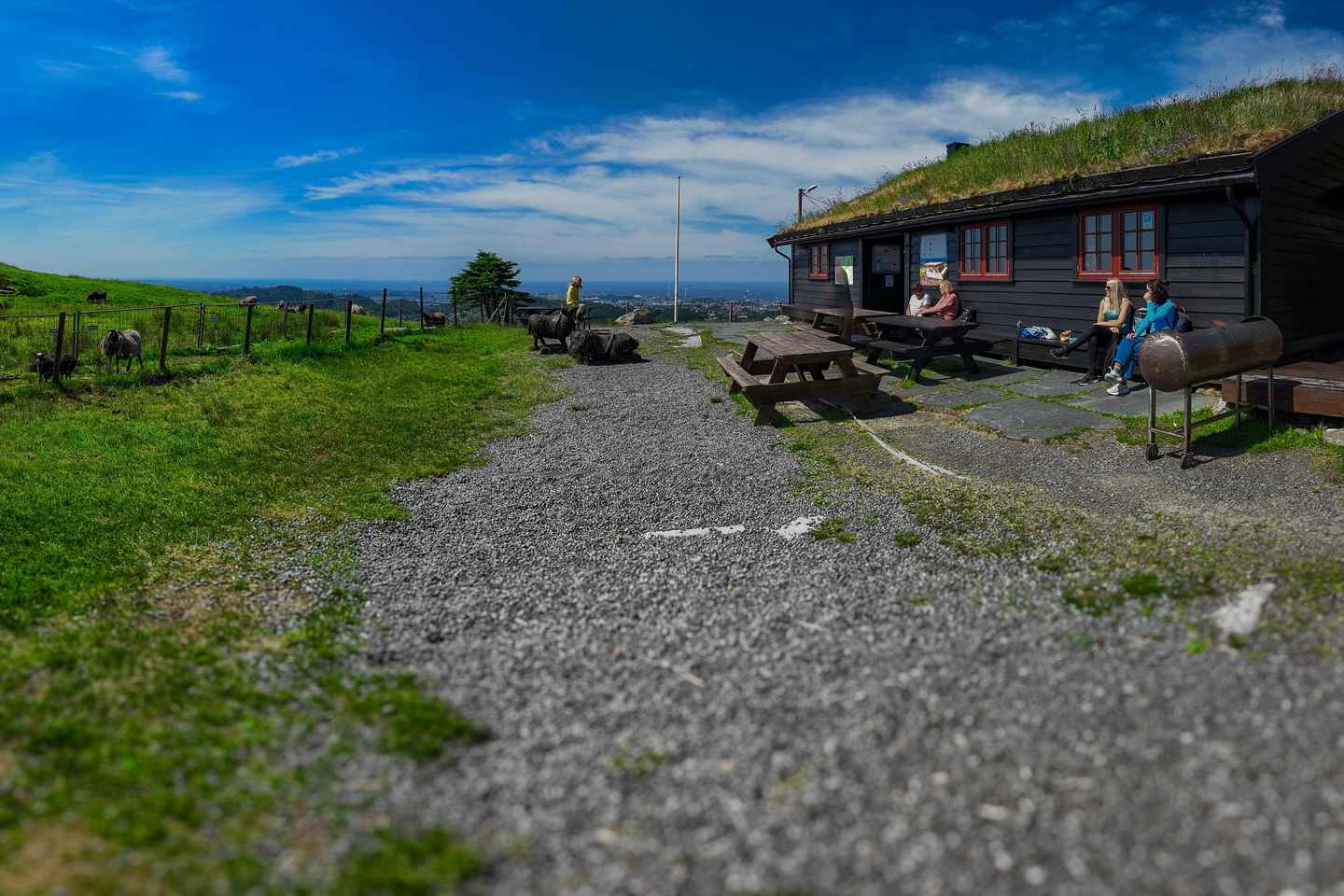 Discover Haugesund and visit a local mountain farmer