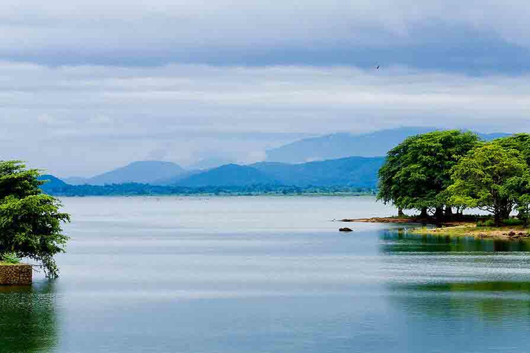 Au départ d'Udawalawe :- Safari d'une journée dans le parc national