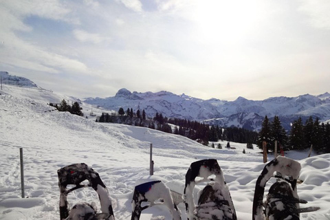 Private Schneeschuhwanderung ganztägig