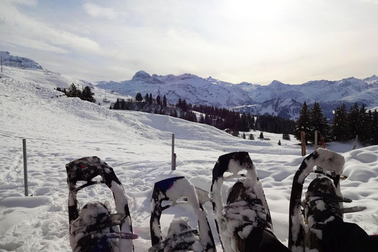 Hele dag privé sneeuwschoenwandelen