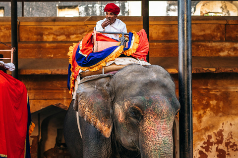 Jaipur: Rondleiding door Hathi Gaon Elephant Village