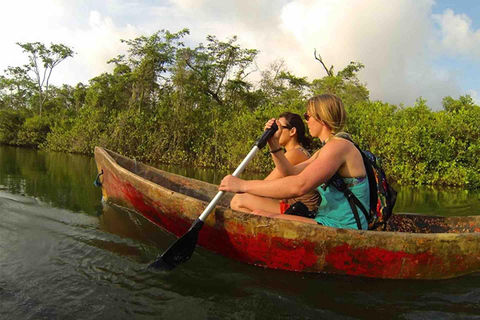 Panama City: Portobelo Jungle, Reef & Venas Azules Tour