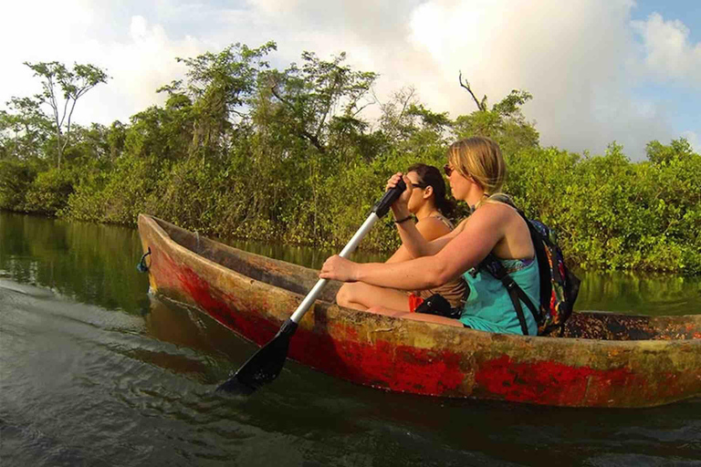 Panama City: Portobelo Jungle, Reef & Venas Azules Tour