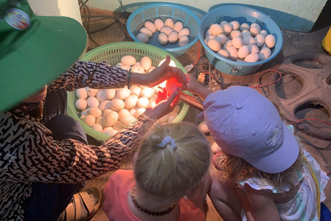 Hoi An: Duck Farm Experience with Local Family & Duck Leader