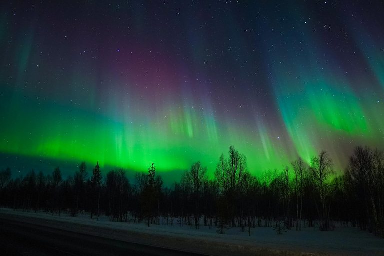 Levi: Excursión a la Aurora Boreal con avistamiento garantizado