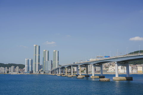 Busan: Power Walk Tour with a Local Mate