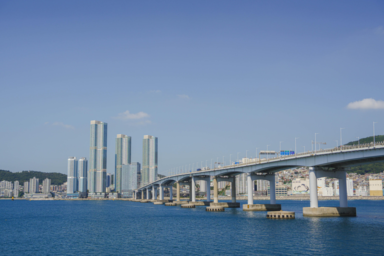 Busan: Power Walk Tour with a Local Mate