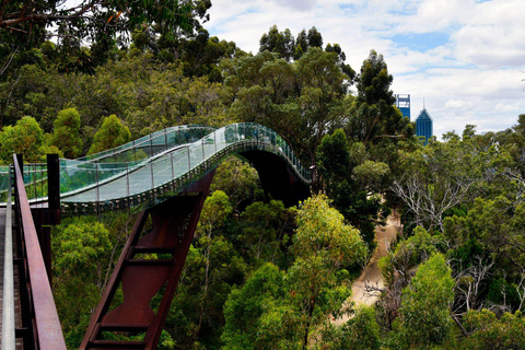 أفضل ما في بيرث: جولة سير خاصة مع أحد السكان المحليينجولة سير خاصة في المدينة - 5 ساعات