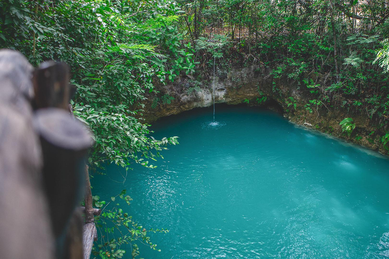 Puerto Morelos: Tour of two cenotes with lunch included. Mayan Museum and Cenotes Tour - Cancun Transportation