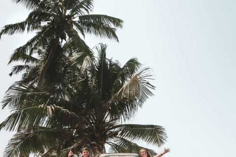 Colombo: Mirissa Day Trip with Scenic Coastal Train Ride Colombo: Mirissa Day Trip with Scenic Coastal Train Ride