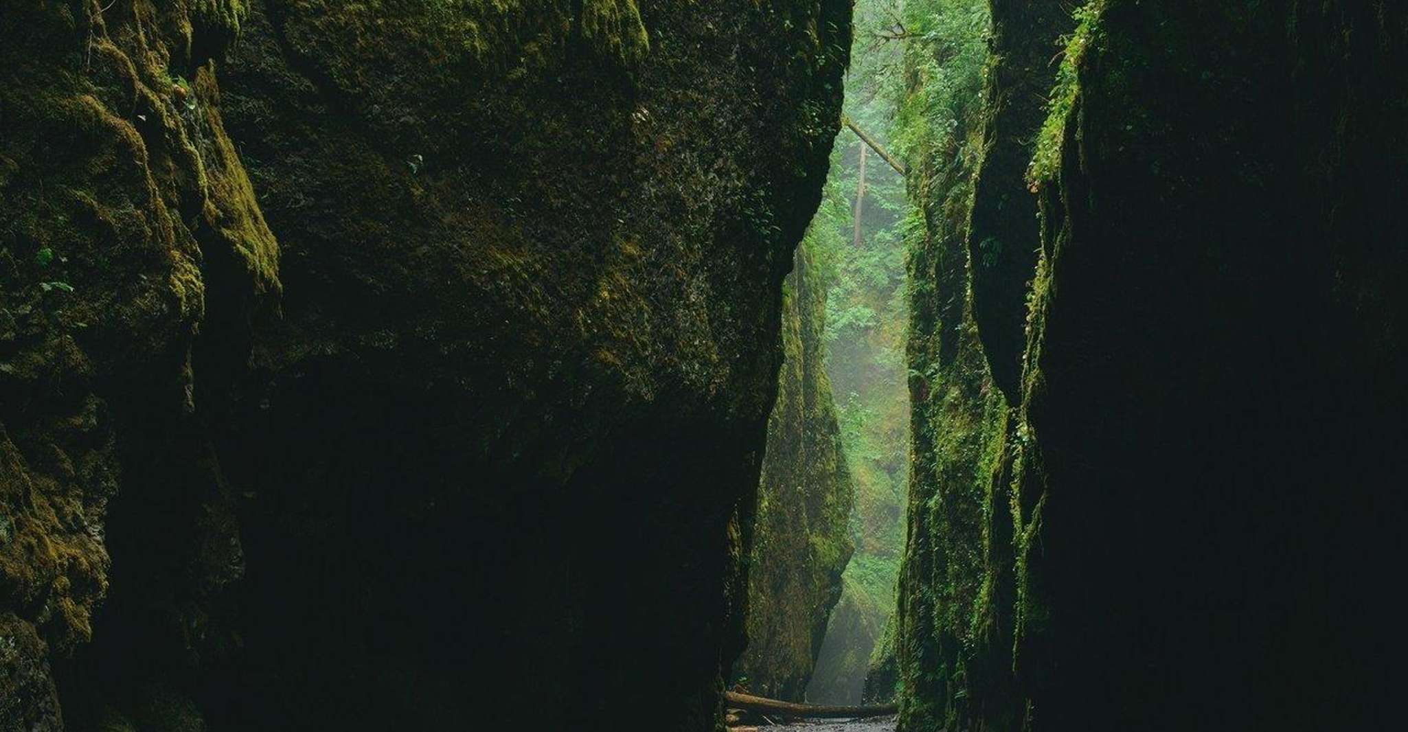 Alanya, Green Canyon Boat Tour with Fishing and Swimming - Housity