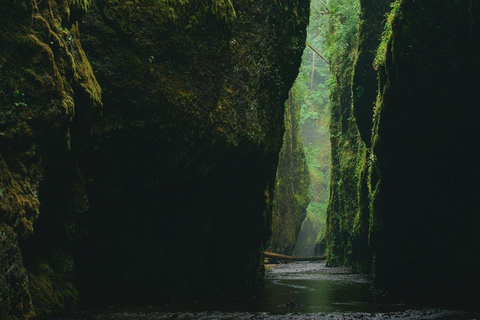 Antalya-Belek-City of Side :Green Canyon Boat Tour w/ Lunch Tour without Transfer