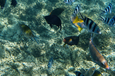 3-Day 2-Nights Group Boat Expedition from Coron to El Nido