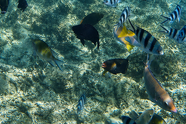 3-Day 2-Nights Group Boat Expedition from Coron to El Nido
