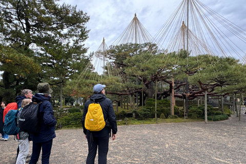 Kanazawa: Half-Day Private Tour - Garden, Castle, Geisha