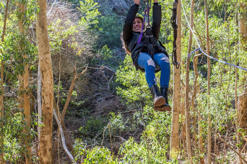 Cape Town: Zipline Adventures (Hotel Pickup &amp; Dropoff incl.)