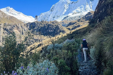 Huaraz : Journée complète Lagune 69 + Lagune Llanganuco