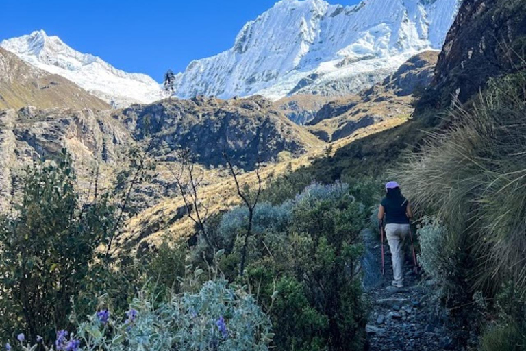 Huaraz: całodniowa laguna 69 + laguna Llanganuco