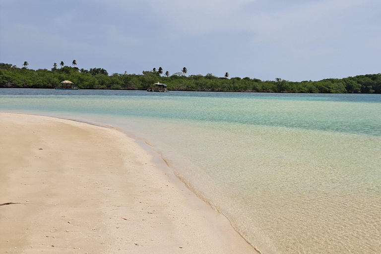 Buccoo Reef and Nylon Pool Adventure