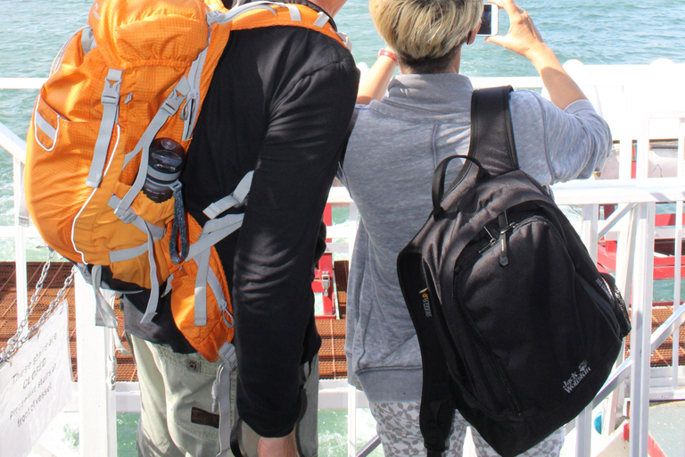 Toronto: Rejs z przewodnikiem po porcie i wyspach