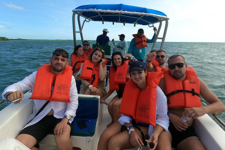 Bayahibe: Saona Island VIP Tour with Lunch & Drinks