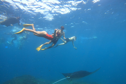 From Bali: Explore West Nusa Penida with Snorkeling From Bali: Nusa Penida West Highlights with Snorkeling