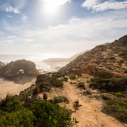 Mornington Peninsula Private Day Tour