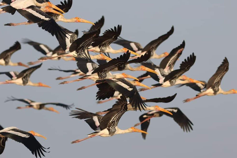 Siem Reap Nature & Cultural Safari Cycling Adventure