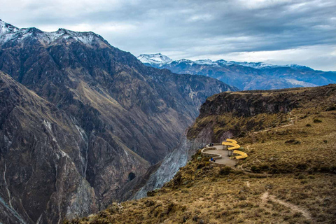 Tour del Canyon del Colca di un giorno ad Arequipa con prima colazione