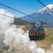 東京発：箱根＆富士山ツアー、荒倉山、忍野八海 - 2026件（実際の体験