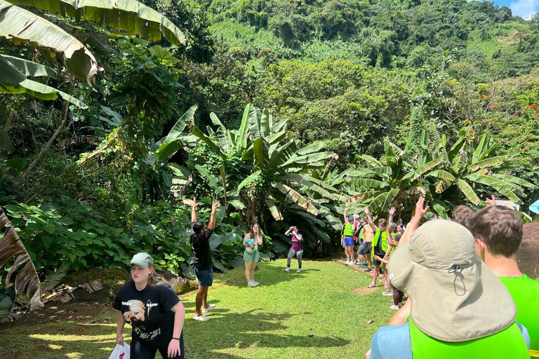 El Yunque Rainforest; Waterslides, Beach, Dine and Shop Tour El Yunque Rainforest Waterslides and Beach Tour