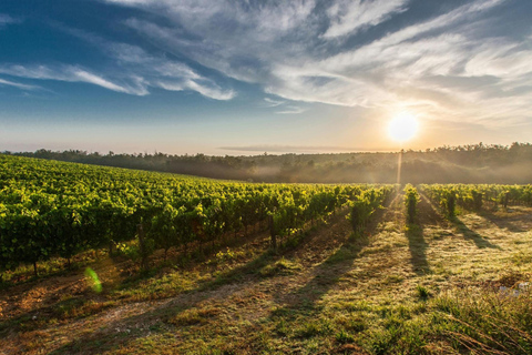 Tirana: Petrela Castle, ATV, Zipline, and Wine Tasting Tour