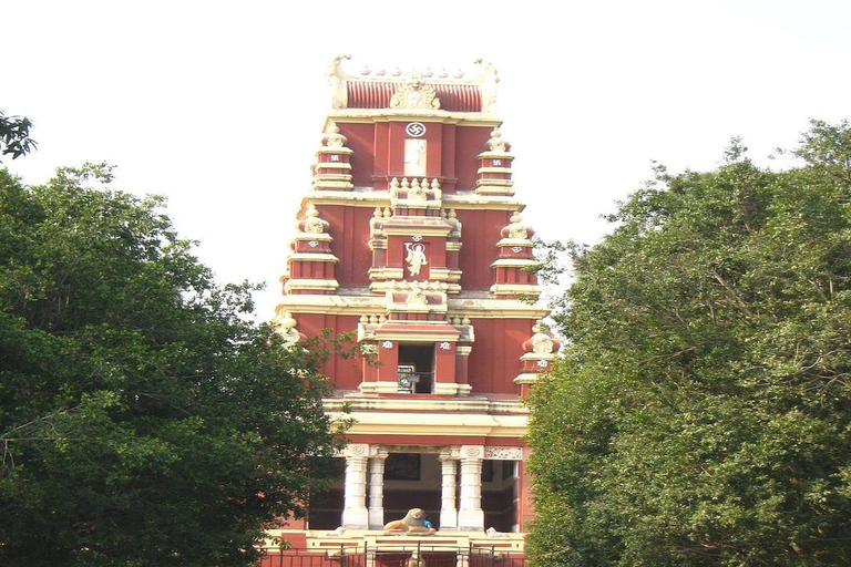 Delhi: Laxmi Narayan Temple Birla Mandir Guided Tour