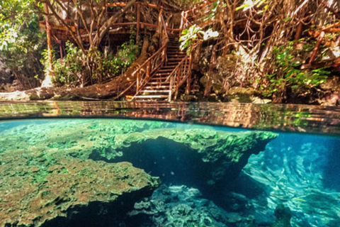 Zanzibar: Jozani Forest, Maalum Cave & Mtende Beach Tour Private Tour with Hotel Pickup (South Zanzibar Only)