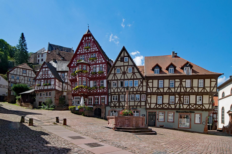 Miltenberg - Visite à pied privée avec visite du château