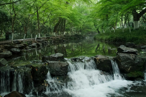 Hangzhou Private Custom Tour with Guide Package C: Xixi Wetland & Grand Canal Walk