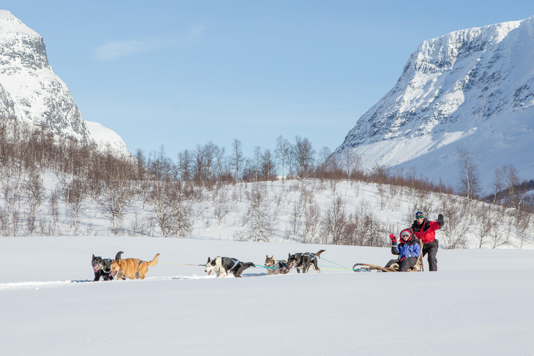 Desde Tromsø: Aventura en trineo tirado por perros en TamokdalenAventura en trineo tirado por perros en Tamokdalen: Salida a mediodía