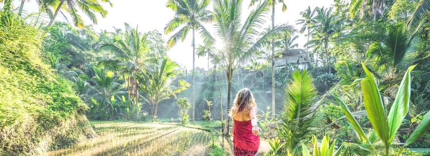 Le meilleur de Bali : visite d'une journée privée et personnalisable
