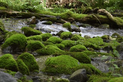 Nagano: Matsumoto Castle & Kamikochi Private Day Tour Pick Up From Your Location