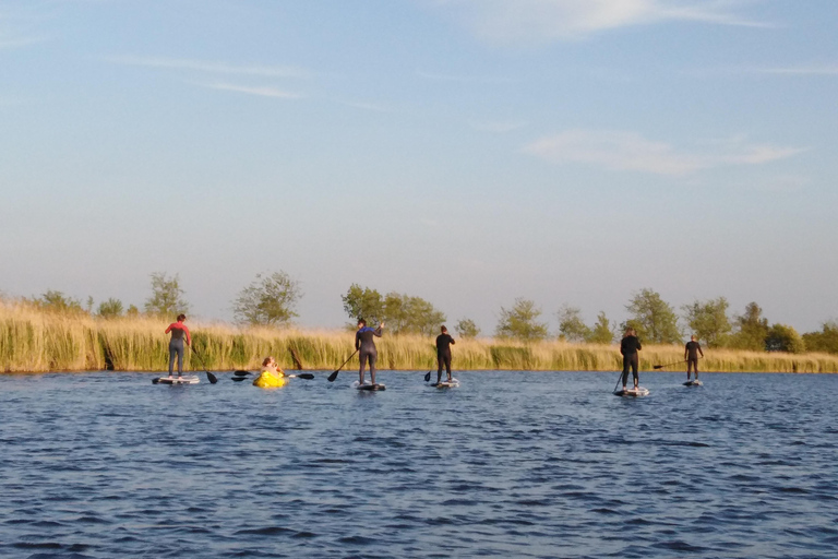 Rügen: Early Bird Standup Paddletour to Fishing Harbours