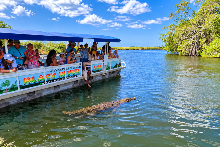 Negril, Lucea & Green Island: YS Falls & Black River Safari Green Island – YS Falls & Black River Private Adventure
