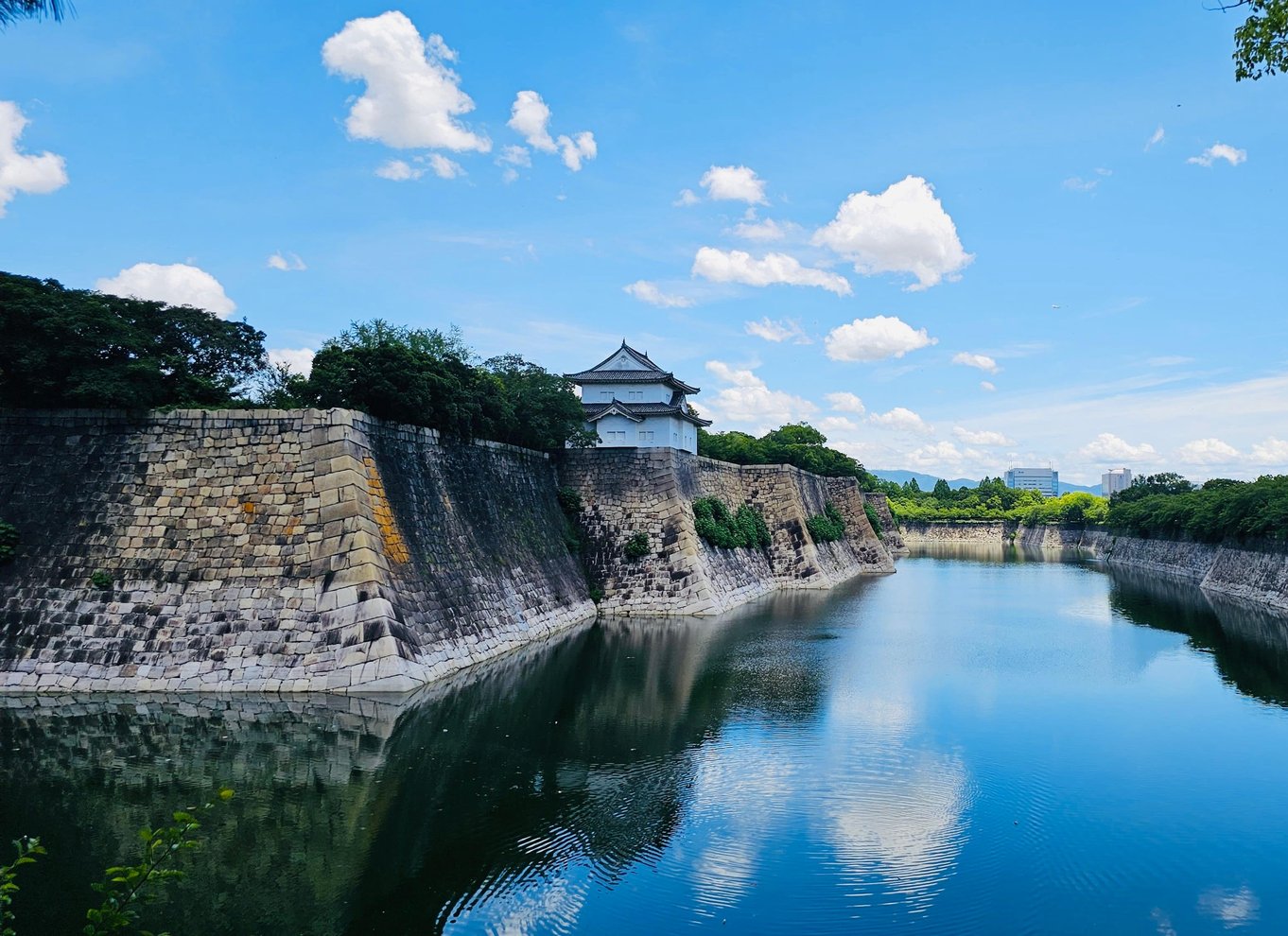 Osaka: Entré til slotstårnet / guidet byvandring
