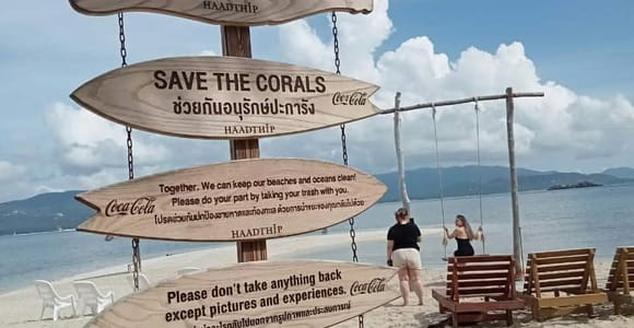From Koh Samui: Private Pig Island & Koh Tan Kayaking Tour