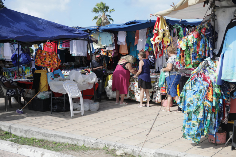 St. Maarten: Twin City Shopping Tour